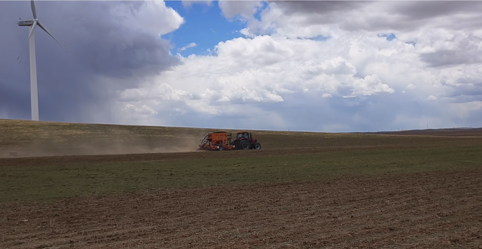 Field management